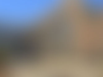 CONTINUARÁ LA VIRTUALIDAD EN UNIVERSIDADES: UACH INICIA MODELO HÍBRIDO