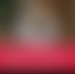 Aneta Krpekyan Supporter Ray Shelton Assaults Volunteers at Candidate Forum