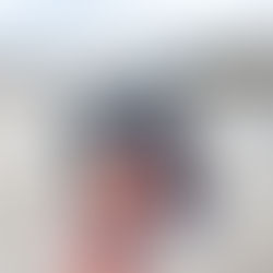 Der Weg zur finanziellen Freiheit - von Bodo Schäfer