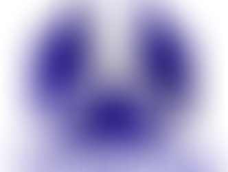 Ministério da Justiça, através da SENACON, receberá Elo Social em audiência