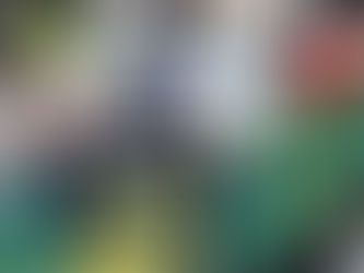 Sindetap convoca catadores a saírem do anonimato para se profissionalizarem