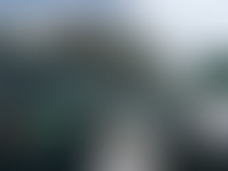 Estádio do Bezerrão, sito na Cidade Satélite do Gama foi o primeiro a ser visitado pelo Elo Social.