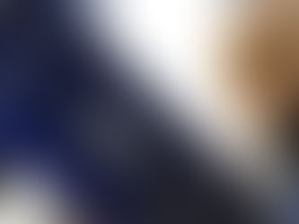 Folha de Vitória - Divulga realização de Cursos de Agente do Mérito do Elo Social