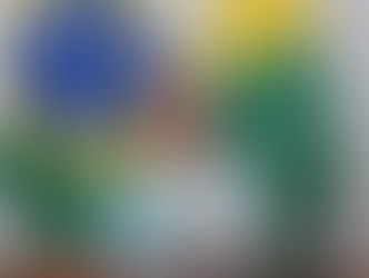 Mailza Assis da Silva, Vice-Governadora do Acre, aceita se tornar a Embaixadora do Elo Social no Estado.