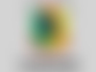 Paulo Sérgio Lima Cavalcante (MDB), Presidente da Câmara dos Vereadores do Município de Carauari - AM, é Notificado pela CESB - Confederação do Elo Social Brasil.