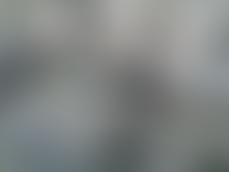 Avançam as reuniões com fabricantes internacionais de geradores de energia