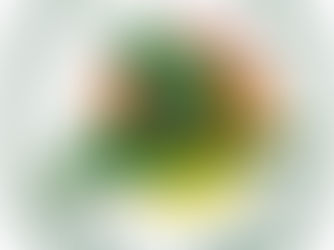 José Ribamar Fontes Beleza, Prefeito do Município de Santa Isabel do Rio Negro - AM é Notificado