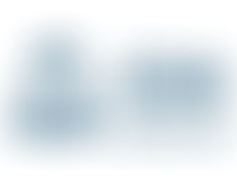 Secretaria de Assistência Social de Joinville, agenda reunião de apresentação do Projeto CSRP - Elo Social