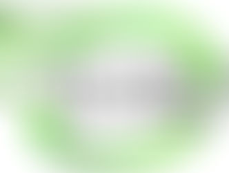 ESTADO DO ACRE FOI LIBERADO PARA REUNIÕES FINAIS DE COMERCIALIZAÇÃO DO SISTEMA INER