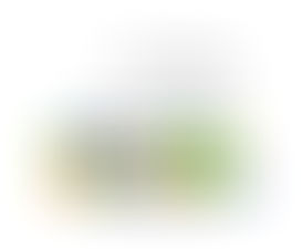 Ministério das Mulheres Agenda reunião de apresentação do Projeto Social do Cidadão - Elo Social 