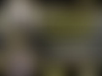 Ascenção e Colapso do Banco Master, será do tema da palestra no Seminário de Capacitação do Elo Social a ser ministrado no dia 11/02/26 das 19:30 as 22:00 horas pelo Comendador José Ferreira