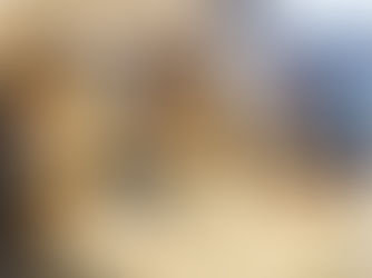 Eduardo Torres, (irmão da Primeira -Dama Michelle Bolsonaro) e pré-candidato a Deputado Distrital, faz reunião de alinhamento institucional e religioso com Comendadoras do Elo Social.