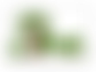 CIMA – Consórcio Intermunicipal da Mata Atlântica, agenda segunda reunião com Elo Social