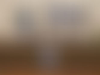 Câmara Municipal de Anápolis, realiza Audiência Publica e recebe apresentação do Projeto "Lixo Zero Social 10"