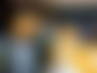 DIRETORIA DF CONTINUA NA ATIVA