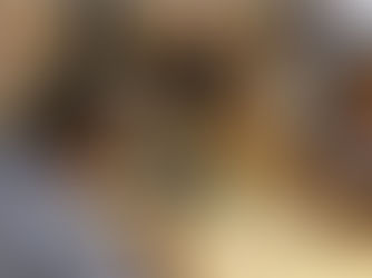 Comendadora Luquiene Campos Ferreira e Comendadora Neila Alencar explicando sobre o Funcionamento do Elo Social em Brasília em evento politico.