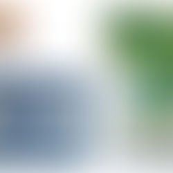 Primeiras-damas de todos os Estados da federação brasileira são notificadas e convidadas para serem Embaixadoras do Elo Social.
