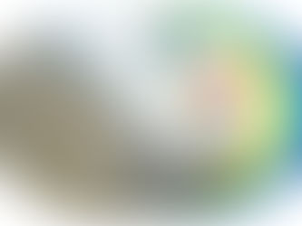 Você que é um candidato a cargo Executivo ou a Legislativo no Estado do Rio Grande do Sul, descubra uma nova forma de fazer politica tornando-se um parceiro do Elo Social.