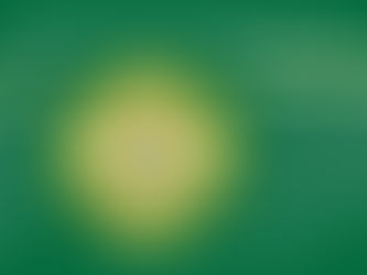 Sul-mato-grossense  Seja um Agente Social, capacite-se  para ocupar uma vaga de emprego junto ao Elo  Social, Inscrições e  cursos preparatórios gratuitos, rendimentos de 2 a 30 salários mínimos - CLT