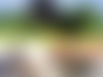 UMA REFLEXÃO SOBRE A DIFÍCIL TAREFA DE DIRIGIR PESSOAS E SUAS RESPONSABILIDADES