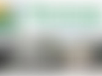 Concluído o estudo sobre os terrenos que o Elo Social, pretende adquirir atraves de leilão oficial da TERRACAP, com base na Lei nº 7.751.