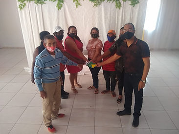 Amapa (1).jpeg