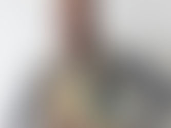 Tersandro Liandro Ribeiro, foi indicado, aprovado e será, Laureado, Aclamado e Diplomado como Comendador da Ordem do Mérito do Elo Social.