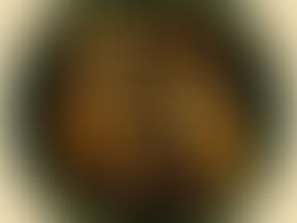 Original Filhos da África agenda reunião com a CESB - Confederação do Elo Social Brasil.