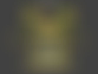 Reunião de alinhamento de trabalhos sobre a implantação  dos Projetos - Elo  Social no Continente Africano.