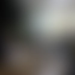 Criação das Reuniões de articulação política