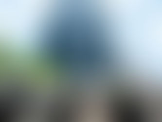 BNDES cria programa de R$ 200 milhões para estimular negociação de créditos de carbono