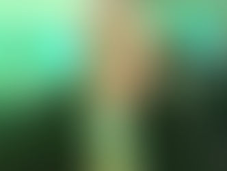 José Luiz Zanzini será aclamado  Comendador da Ordem do Mérito do Elo Social