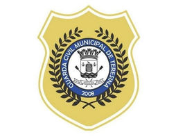 Guarda Municipal de Teresina recebe Elo Social em audiência presencial