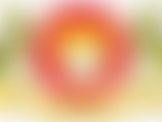 Saul Nunes Bemerguy, Prefeito do Município de Tabatinga - AM é Notificado