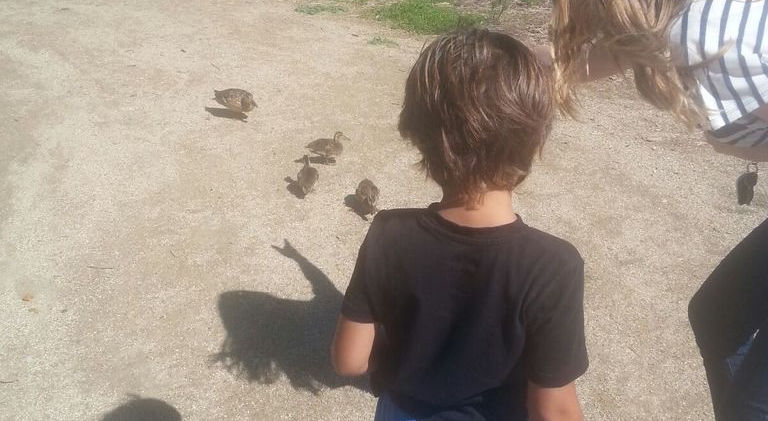 child-learning-program.jpeg