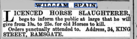 November 1865 Thanet Advertiser