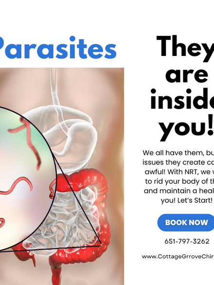 From Parasites to Wellness: How to Do a Parasite Cleanse