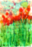 MOHN TIMO