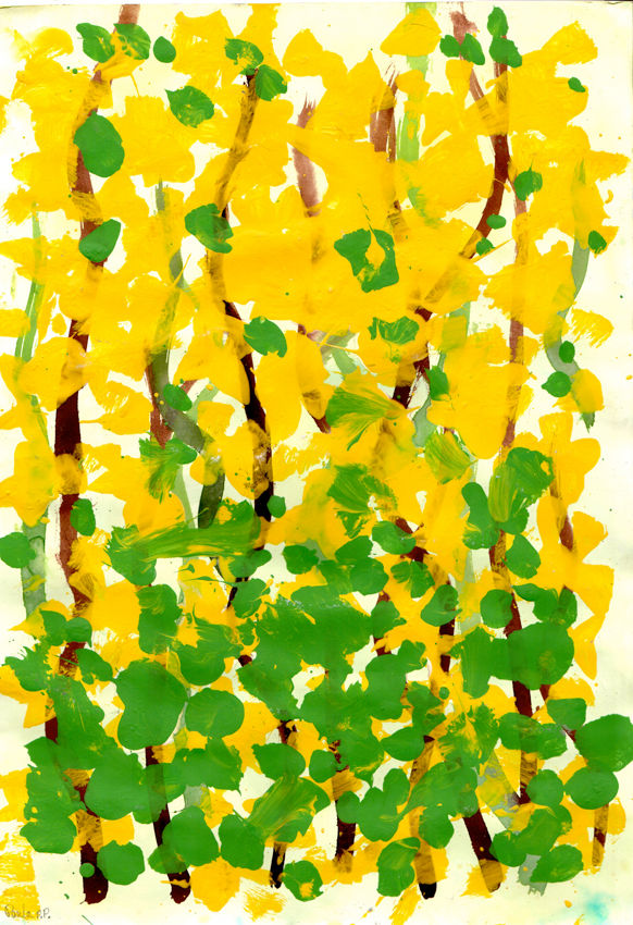 FORSYTHIEN PAULA