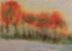 Marlene-Herbst.jpg