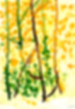 FORSYTHIE FLORA