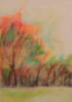 Klara-Herbst.jpg