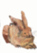 Mark 7 - Rabbit.jpg