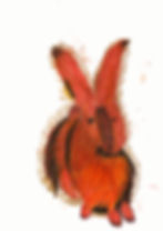 Matilde 7 - Rabbit.jpg