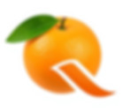 Crea un logotipo formado por una Q en mayúscula y una foto de una naranja con hojas verdes