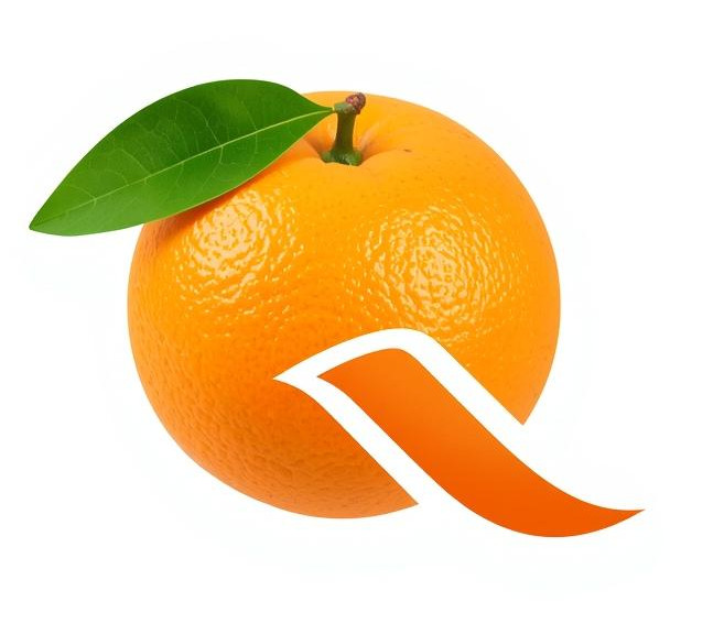 Crea un logotipo formado por una Q en mayúscula y una foto de una naranja con hojas verdes