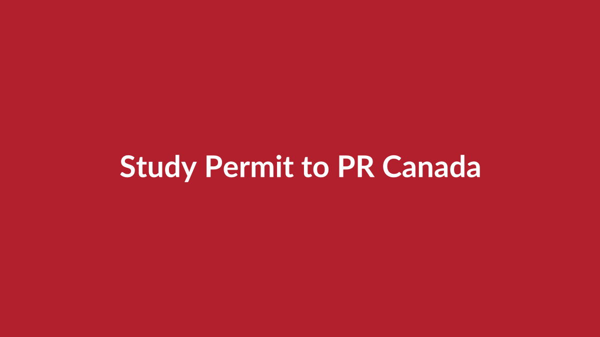 Study permit to PR mistakes guide by LearnHow Immigration Consulting