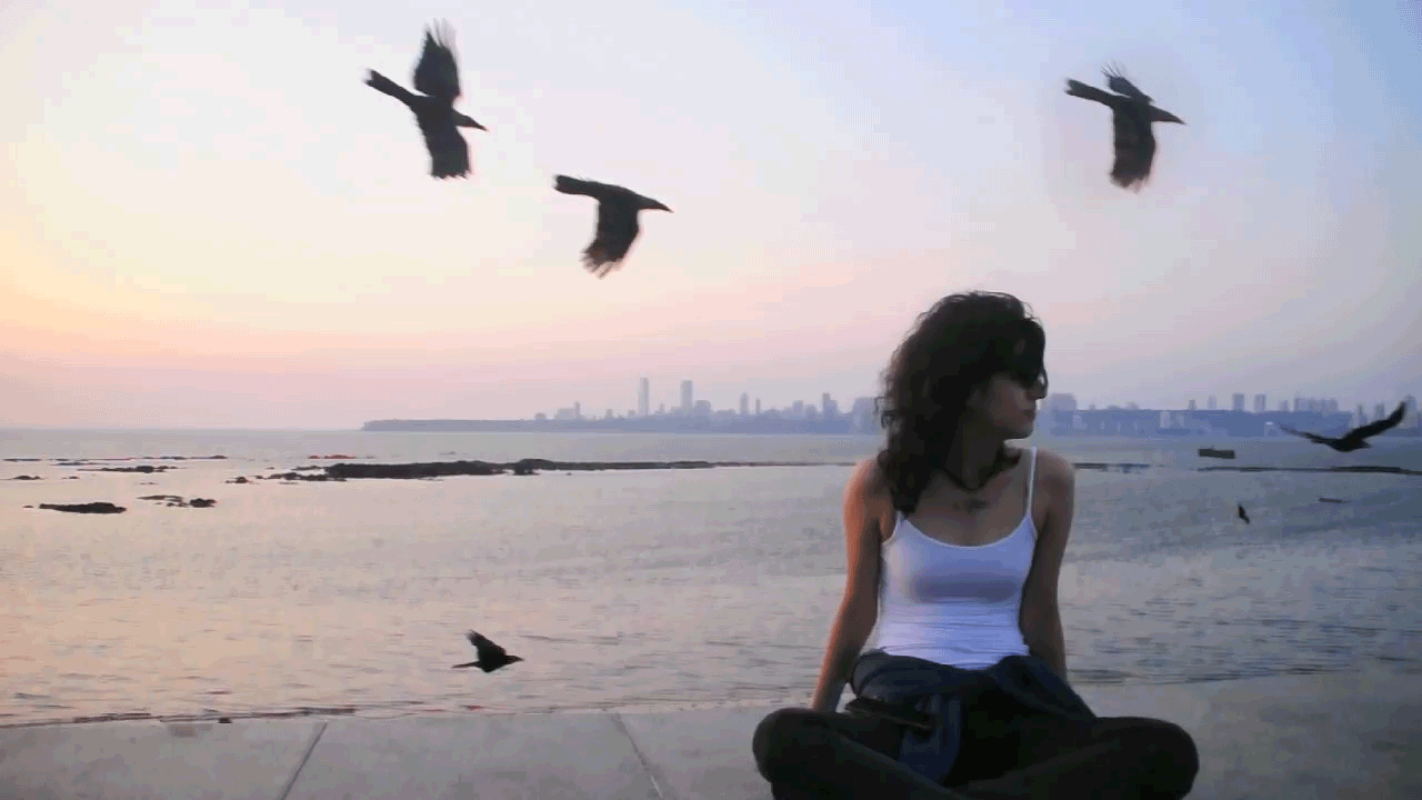 Birds-Final.gif