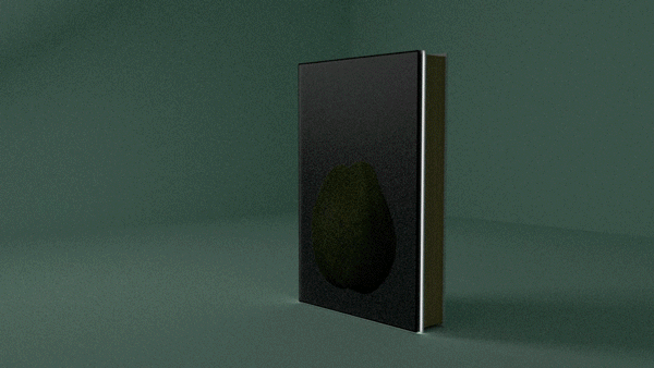 Book-Anima-2.gif