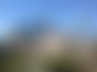 15 Summer Programs in Texas That Will Boost Your College Application